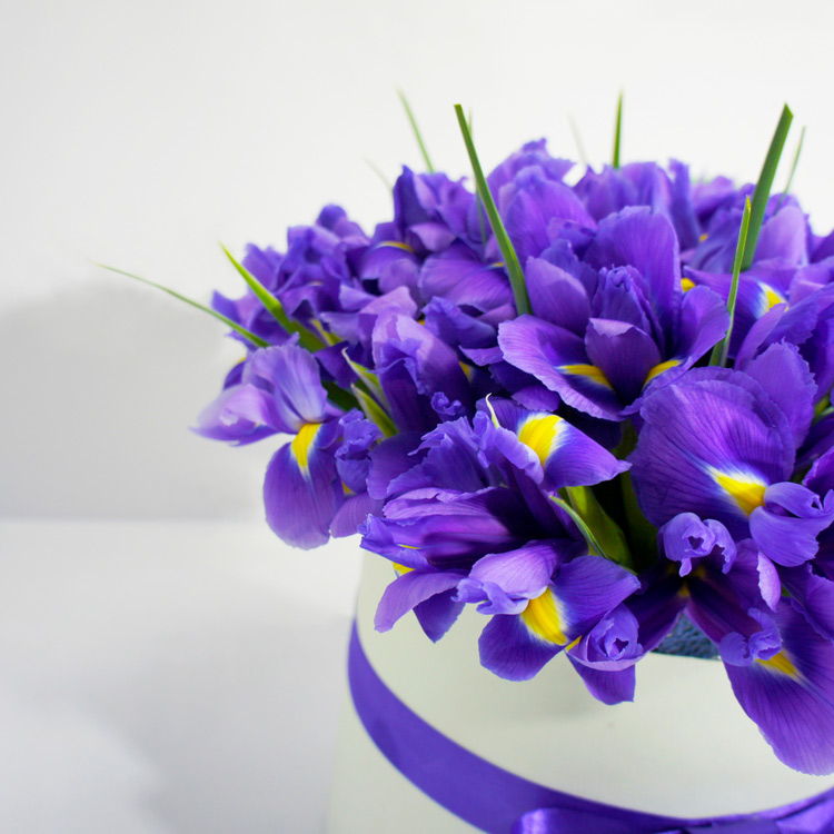 51 ирис в коробке (приближенный вид)