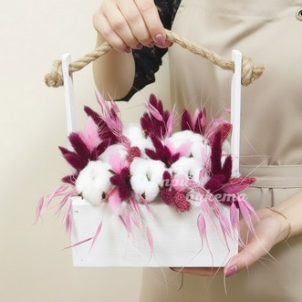 Хлопок и овёс в ящике