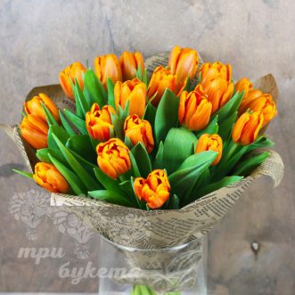 21 оранжевый тюльпан
