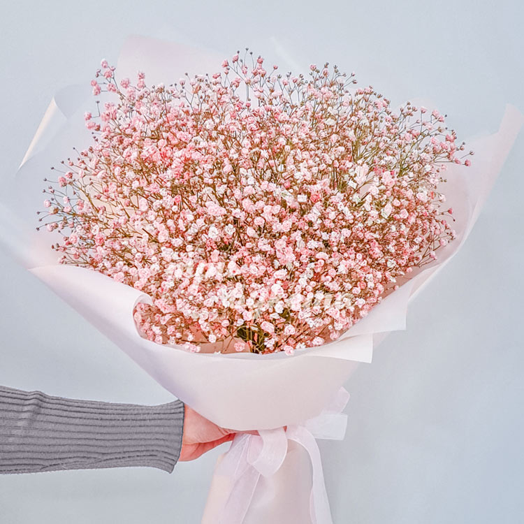Букет из 25 нежно-розовых гипсофил