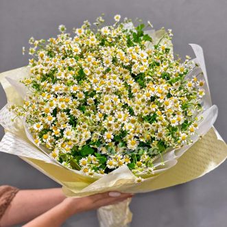 Большой букет из 25 ромашек