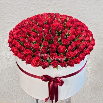 151 красная роза в коробке 151 красная роза в коробке