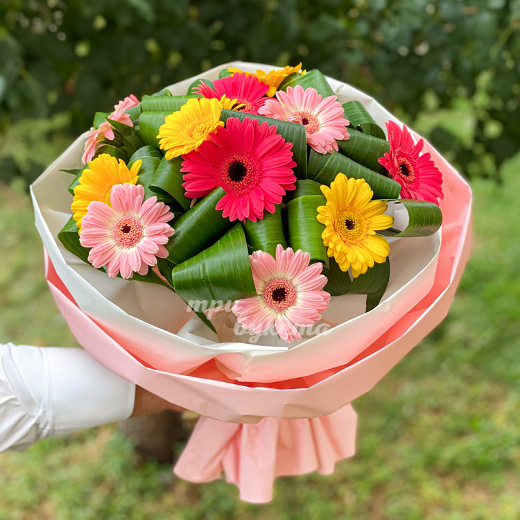 Букет разноцветных гербер с зеленью (крупный план)